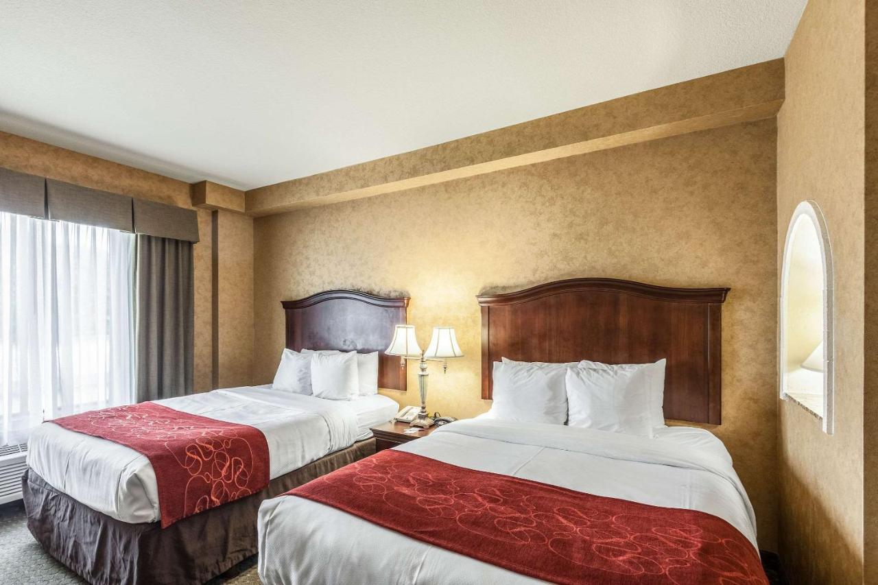 Comfort Suites Alamo-River Walk San Antonio Extérieur photo