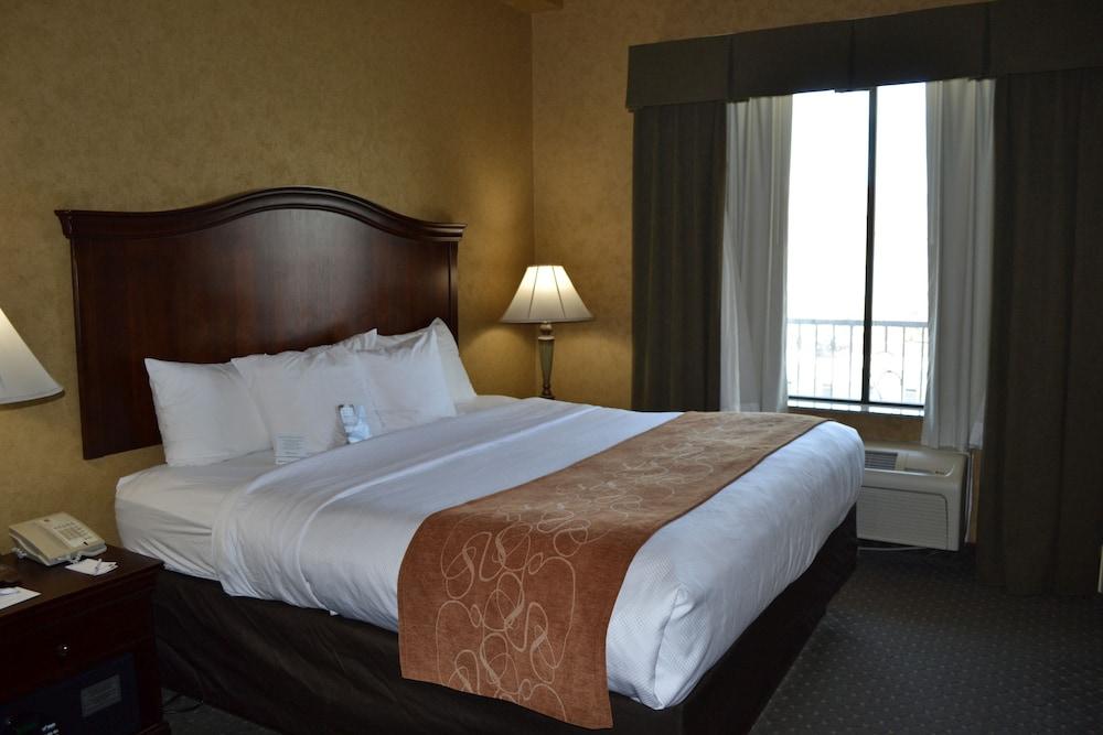 Comfort Suites Alamo-River Walk San Antonio Extérieur photo